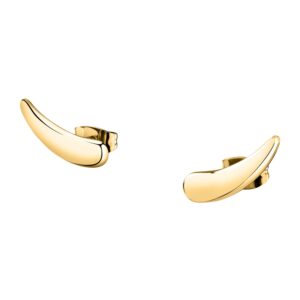 Brincos Design Dourados em Aço